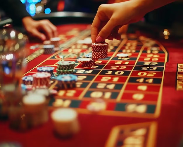 Dragon Tiger Live dealer studio on rajapanengacor platform